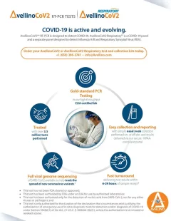 4_COVID-Rapid-Acceleration-Infographic-11.11.2022_Page_1